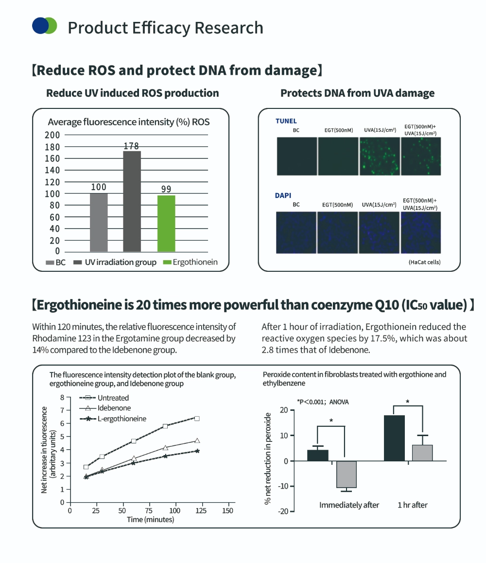 Antioxidant Compound Ergothioneine Antioxidant Compound Ergothioneine