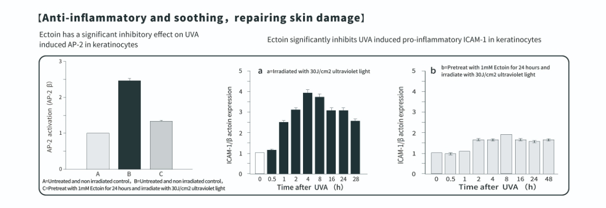 Anti-Inflammatory Benefits of Ectoin Powder for Skin Anti-Inflammatory Benefits of Ectoin Powder for Skin