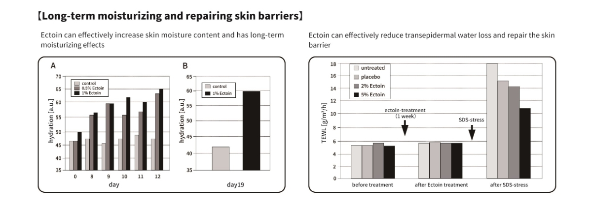 Moisturizing Effects of Ectoin Powder for Skin Moisturizing Effects of Ectoin Powder for Skin