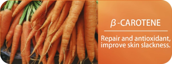 Natural Oxidant Beta Carotene