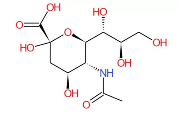 How Does Antioxidant N-Acetylneuraminic Acid Supplement Improve Immunity?