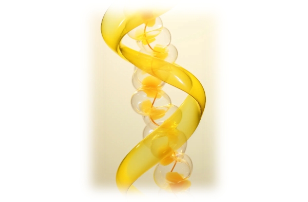 siRNA/RNA