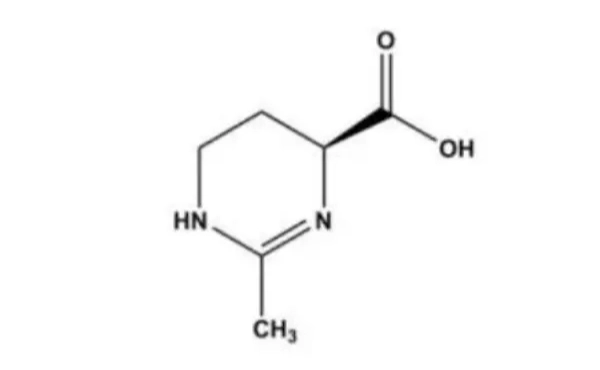 Repair Effects of Highly Active Ingredient Ectoin Powder for Skin