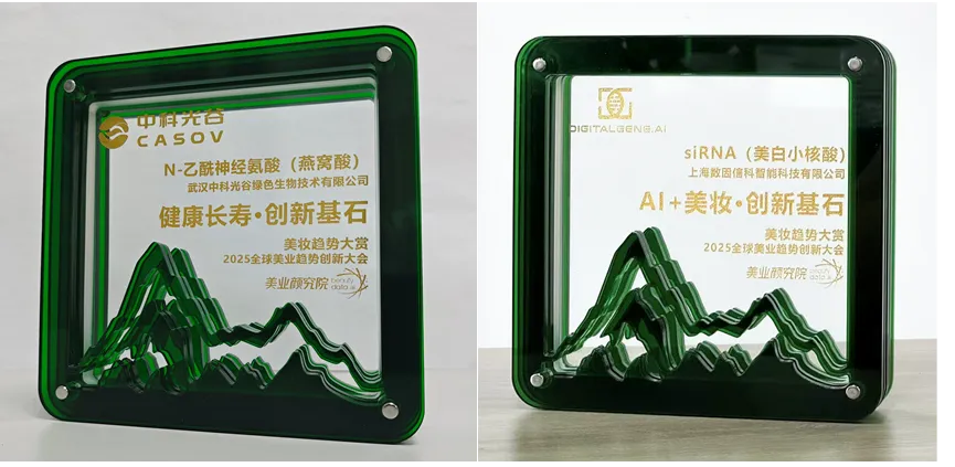 Dual Innovation Awards