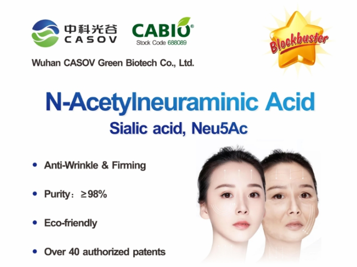 N-Acetylneuraminic Acid