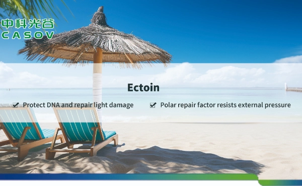 Potential of Ectoin Powder for Skin (CAS No.: 96702-03-3): A Scientific Perspective
