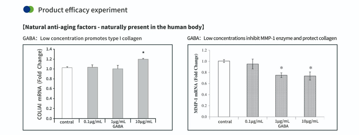 Active Gamma-Aminobutyric Acid for Skin and Collagen Support