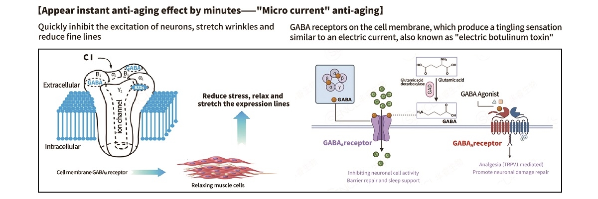 Instant Anti-Aging Effects: GABA as a Natural Muscle Relaxant